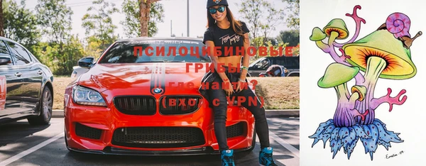хмурый Вязники